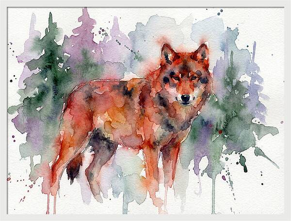 Red Wolf Among Pines
