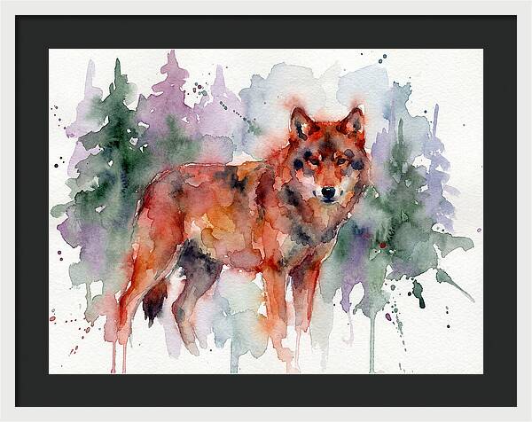 Red Wolf Among Pines