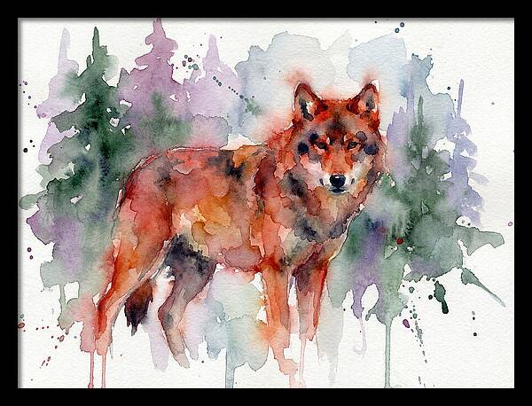 Red Wolf Among Pines
