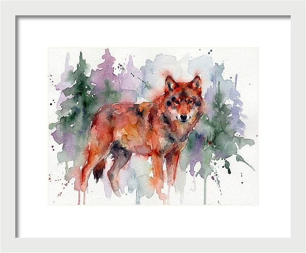 Red Wolf Among Pines