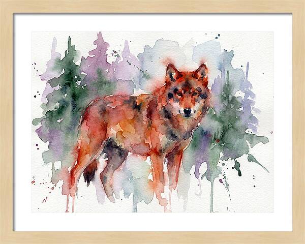 Red Wolf Among Pines