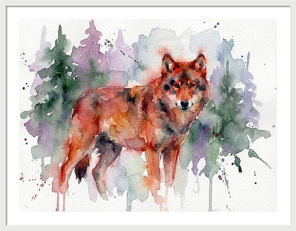 Red Wolf Among Pines