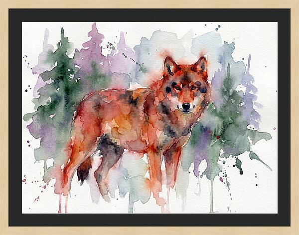 Red Wolf Among Pines