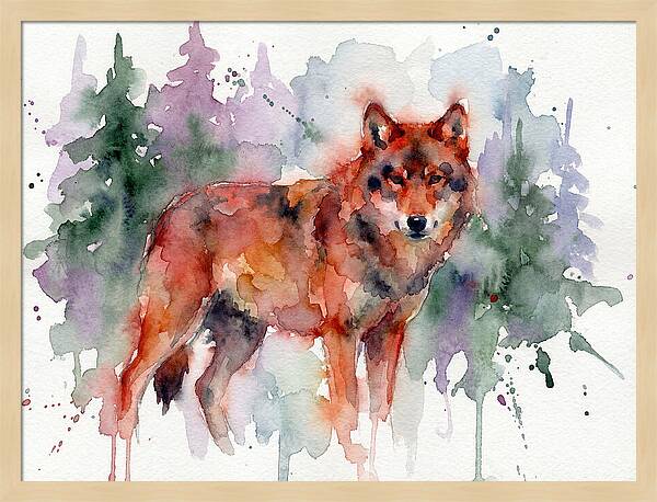 Red Wolf Among Pines