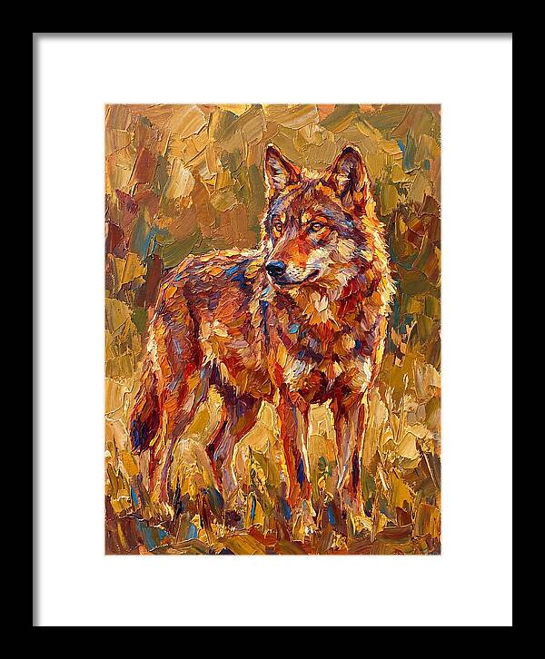 Red Wolf In Mediterranean Landscape
