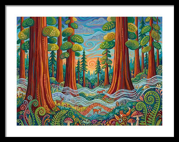Redwood Forest Serenity