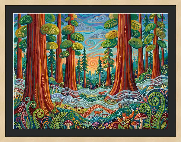 Redwood Forest Serenity