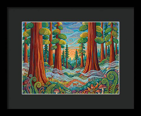 Redwood Forest Serenity