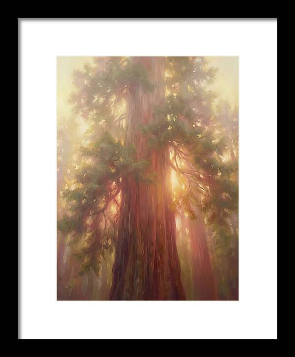 Redwood Majesty