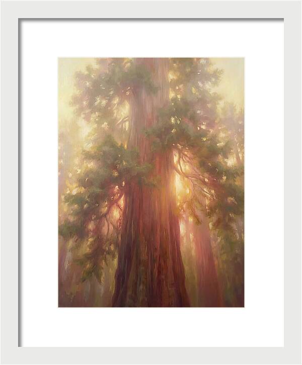 Redwood Majesty