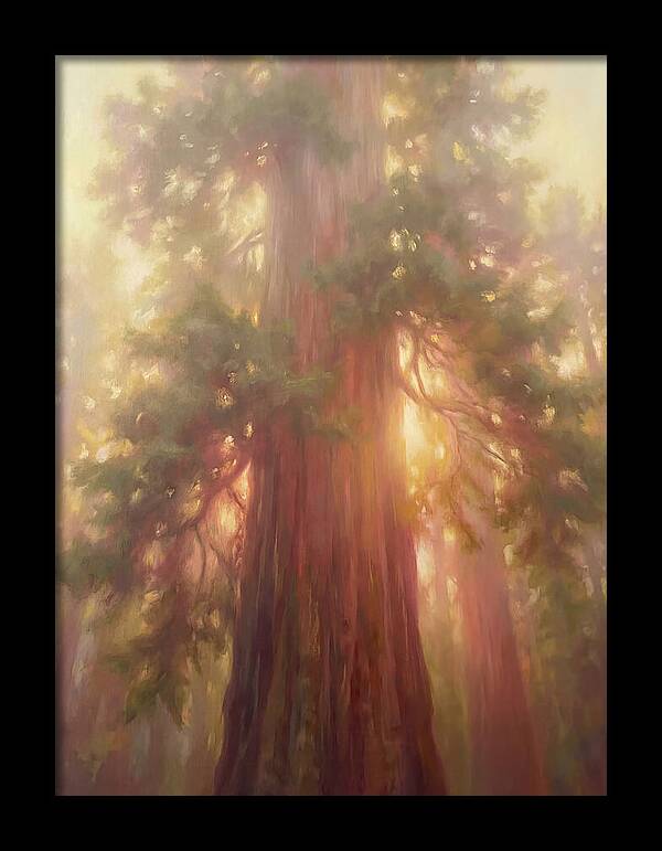 Redwood Majesty