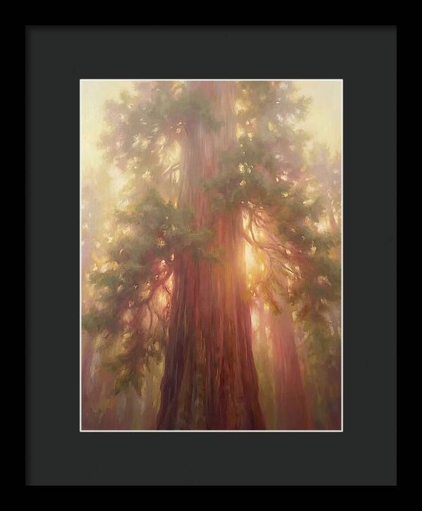 Redwood Majesty