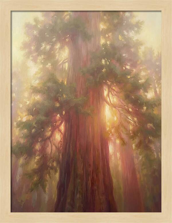 Redwood Majesty