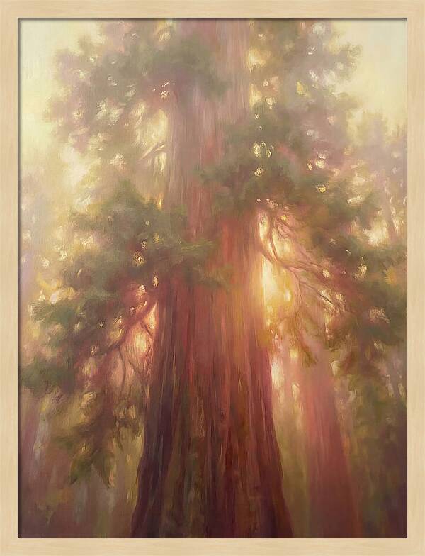Redwood Majesty