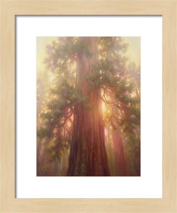 Redwood Majesty