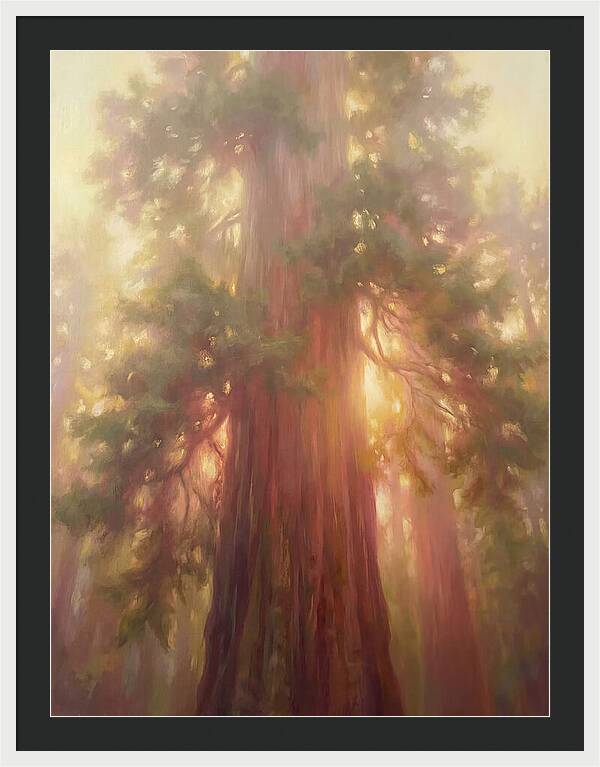 Redwood Majesty