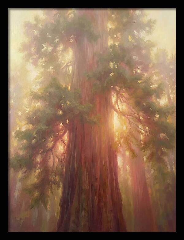 Redwood Majesty
