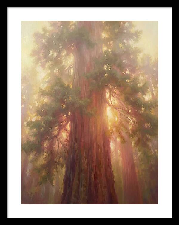 Redwood Majesty