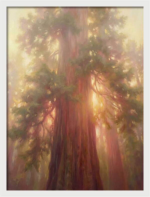 Redwood Majesty