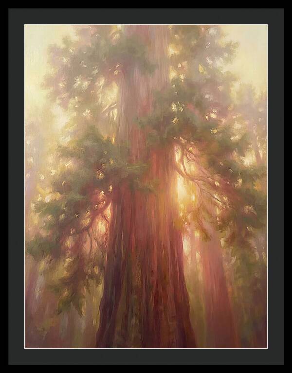 Redwood Majesty