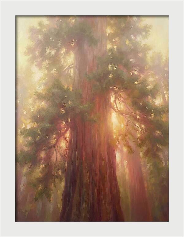 Redwood Majesty