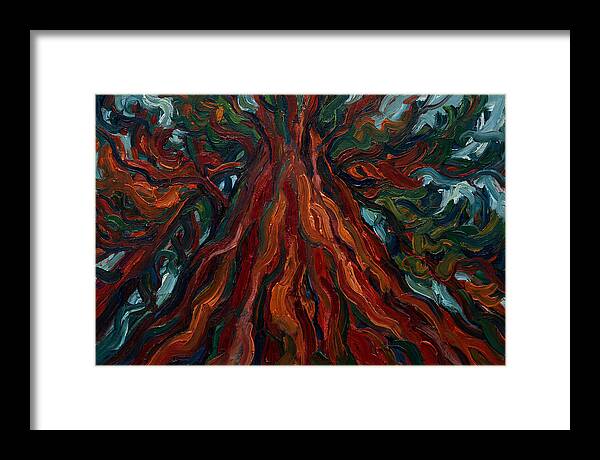 Redwood Tree Majesty