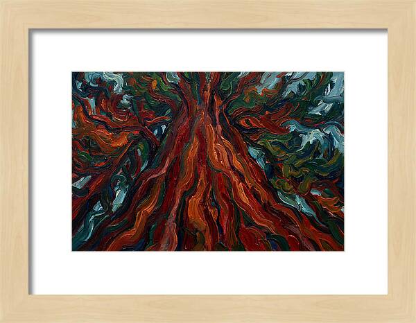 Redwood Tree Majesty