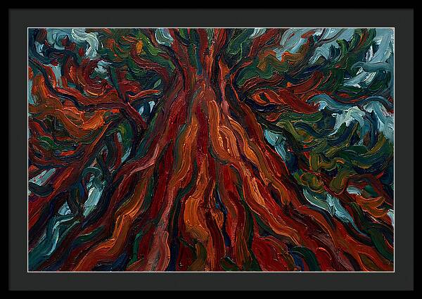 Redwood Tree Majesty