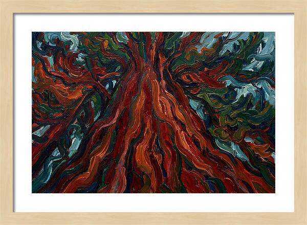 Redwood Tree Majesty