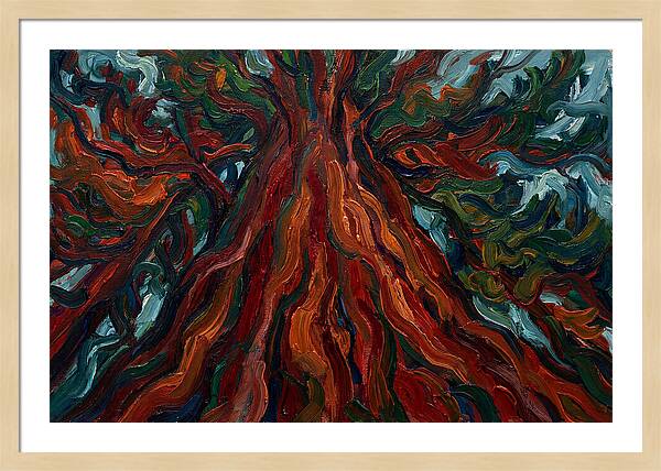 Redwood Tree Majesty
