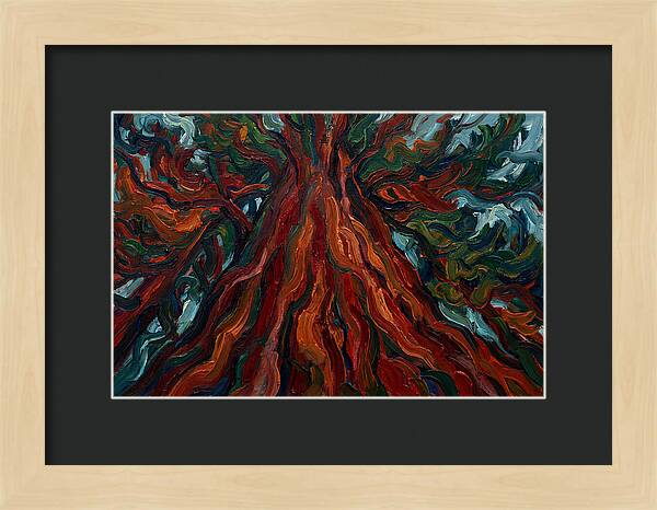 Redwood Tree Majesty