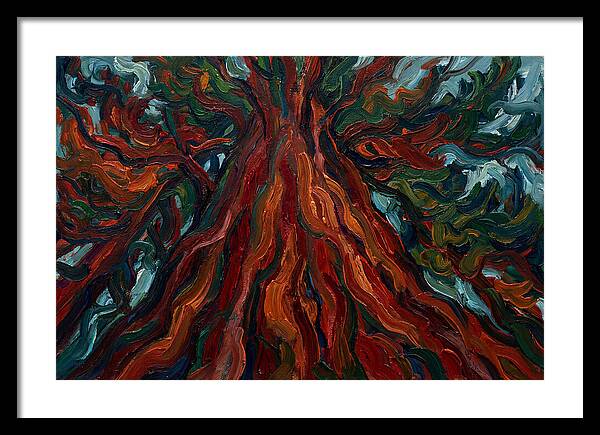 Redwood Tree Majesty