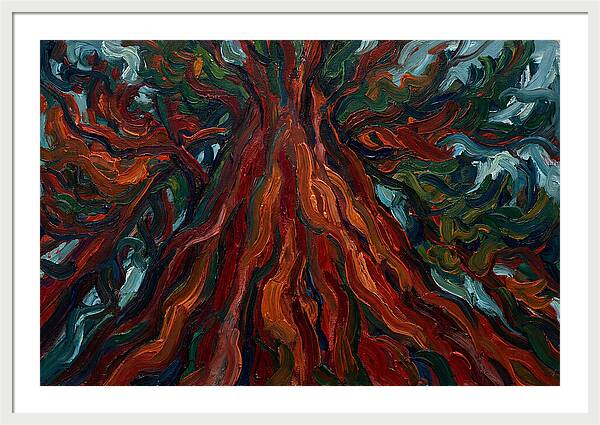 Redwood Tree Majesty