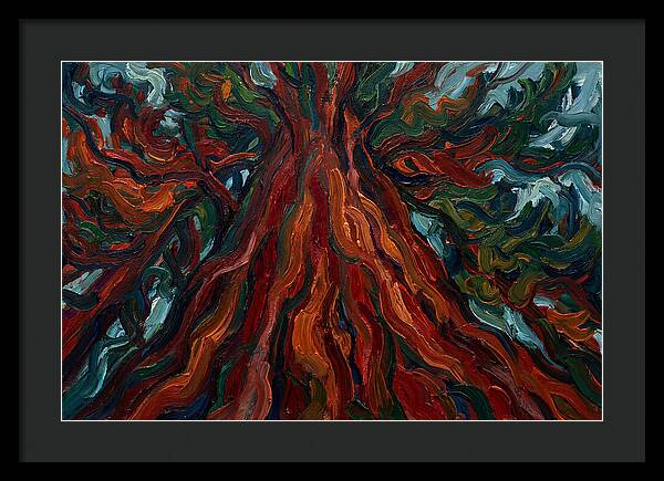 Redwood Tree Majesty