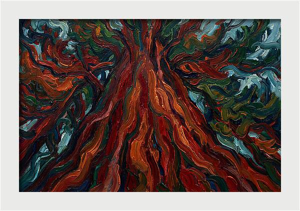 Redwood Tree Majesty