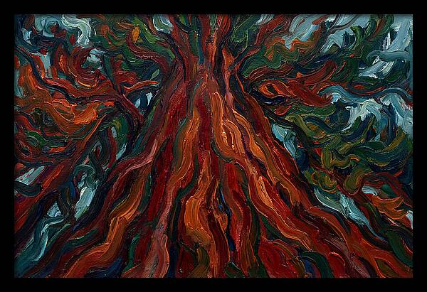 Redwood Tree Majesty