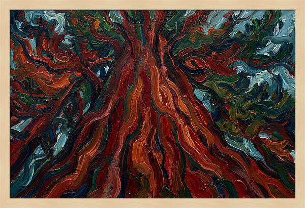 Redwood Tree Majesty