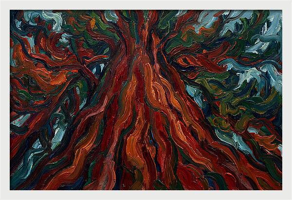 Redwood Tree Majesty