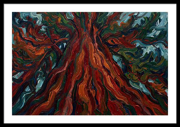 Redwood Tree Majesty
