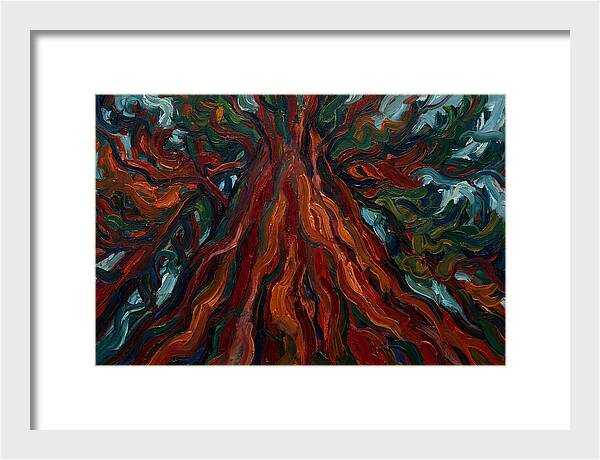 Redwood Tree Majesty