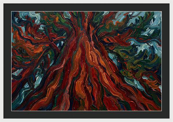 Redwood Tree Majesty