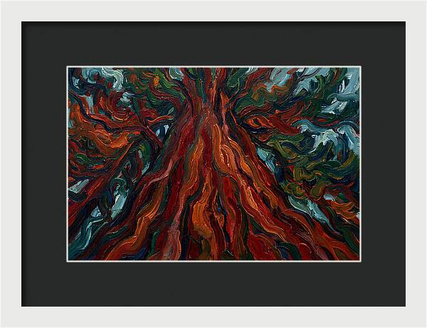 Redwood Tree Majesty
