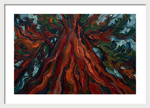Redwood Tree Majesty