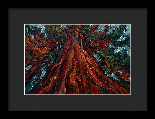 Redwood Tree Majesty