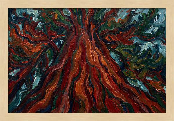 Redwood Tree Majesty