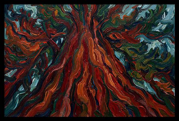 Redwood Tree Majesty