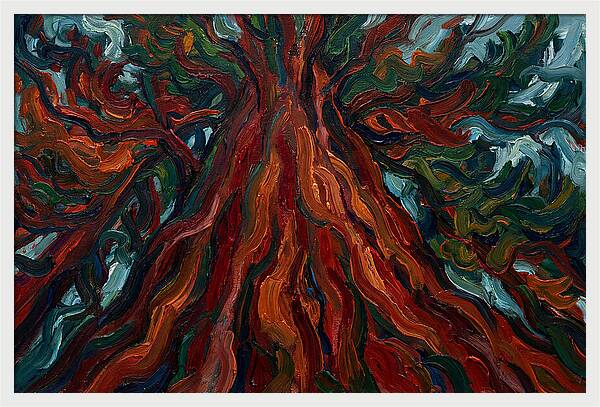 Redwood Tree Majesty