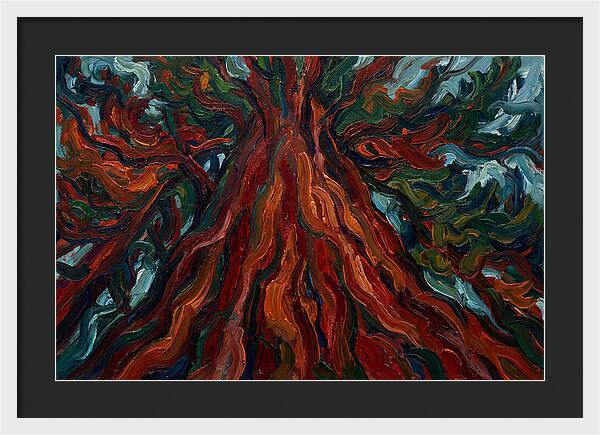 Redwood Tree Majesty