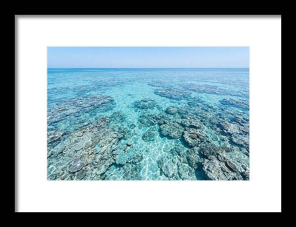 Reef Formations Beneath The Surface