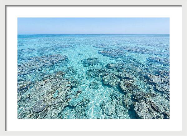 Reef Formations Beneath The Surface